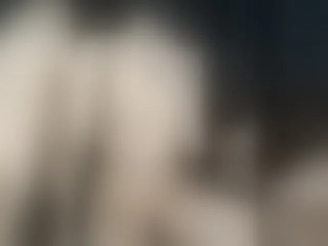Live sex webcam photo for Plohishi2 #272493798