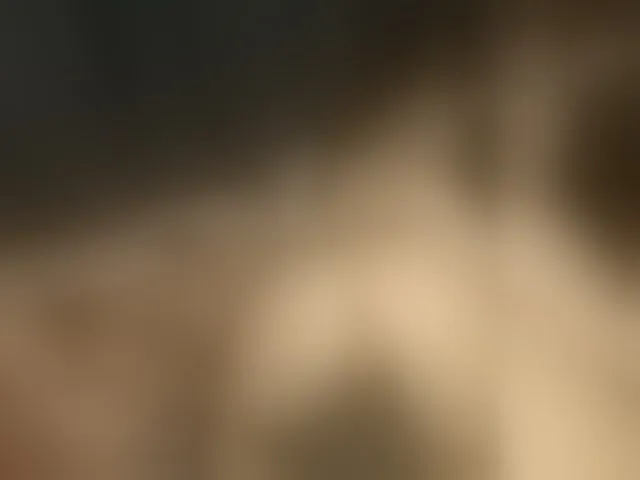 Live sex webcam photo for Plohishi2 #272593069