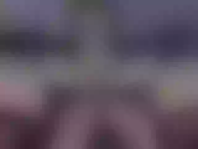 Live sex webcam photo for Plohishi2 #288088920