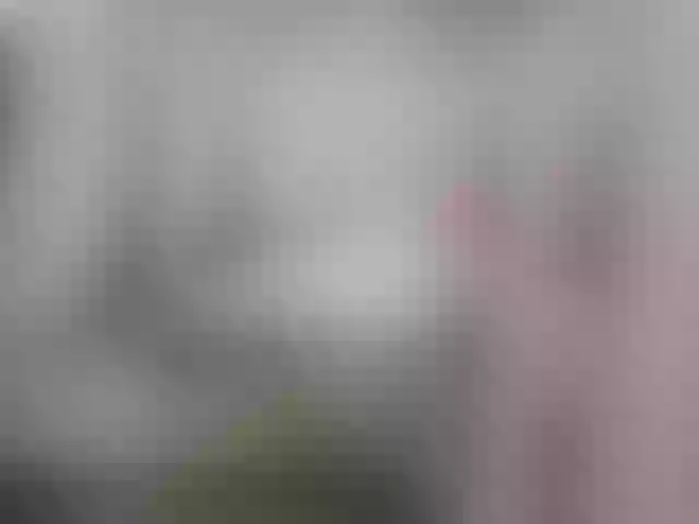 Live sex webcam photo for Plohishi2 #290679209
