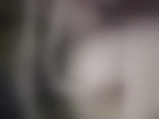 Live sex webcam photo for Plohishi2 #291027598