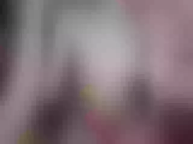 Live sex webcam photo for Plohishi2 #291072767