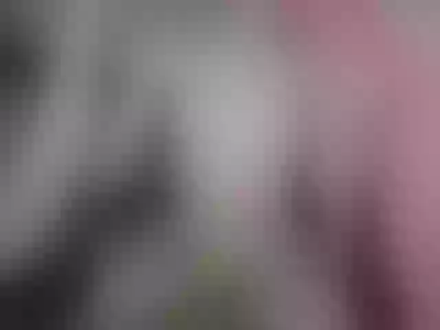 Live sex webcam photo for Plohishi2 #291155236
