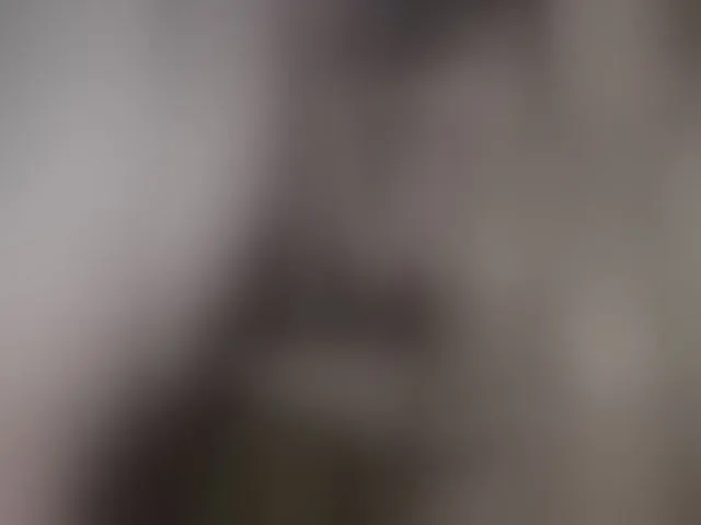Live sex webcam photo for Plohishi2 #291532424