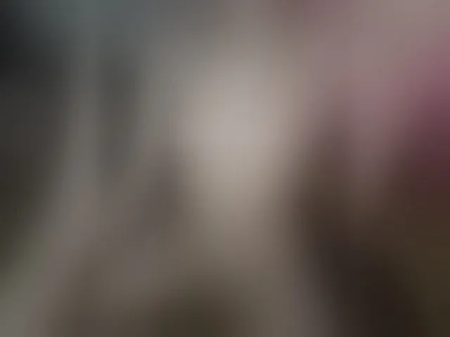 Live sex webcam photo for Plohishi2 #291718583