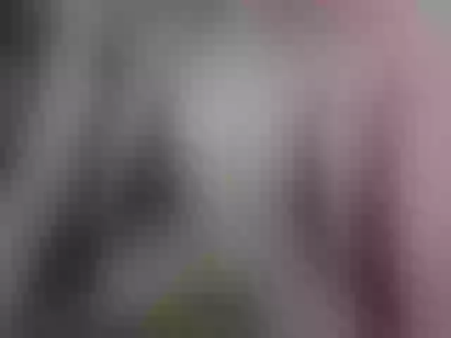 Live sex webcam photo for Plohishi2 #291775542