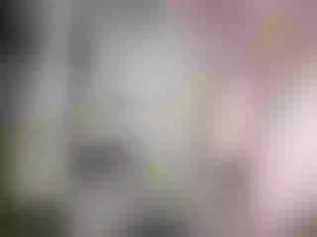 Live sex webcam photo for Plohishi2 #291805517