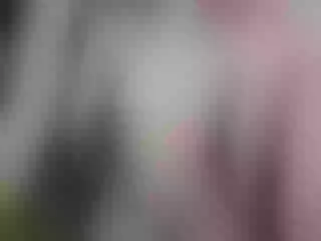 Live sex webcam photo for Plohishi2 #292180662
