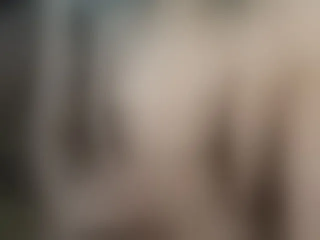 Live sex webcam photo for Plohishi2 #293033001