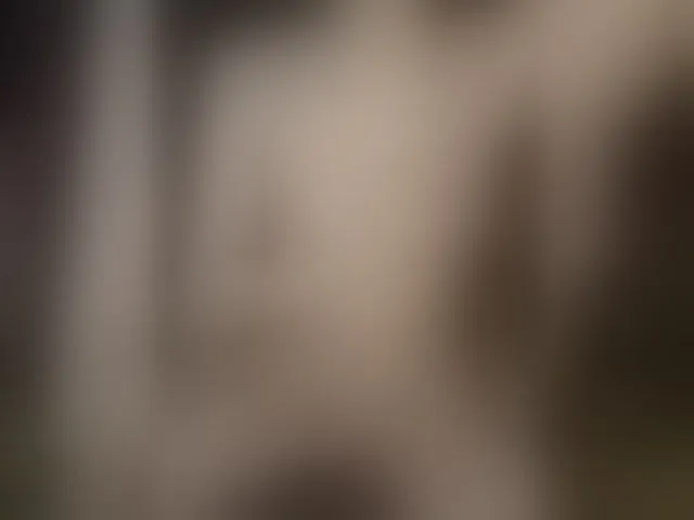 Live sex webcam photo for Plohishi2 #293559971