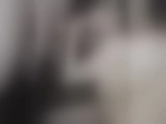 Live sex webcam photo for Plohishi2 #293599238