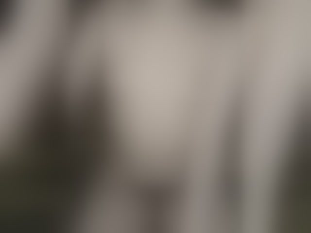 Live sex webcam photo for Plohishi2 #293606084