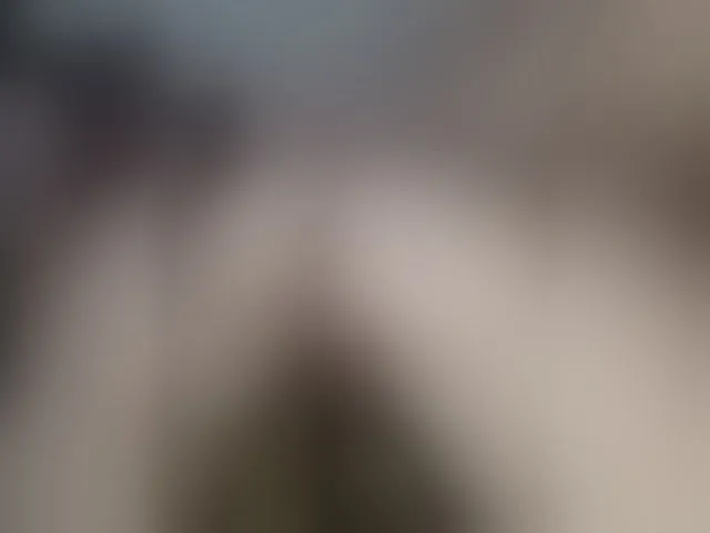 Live sex webcam photo for Plohishi2 #293699589