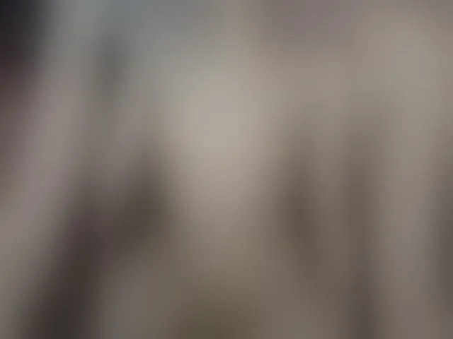 Live sex webcam photo for Plohishi2 #293753007