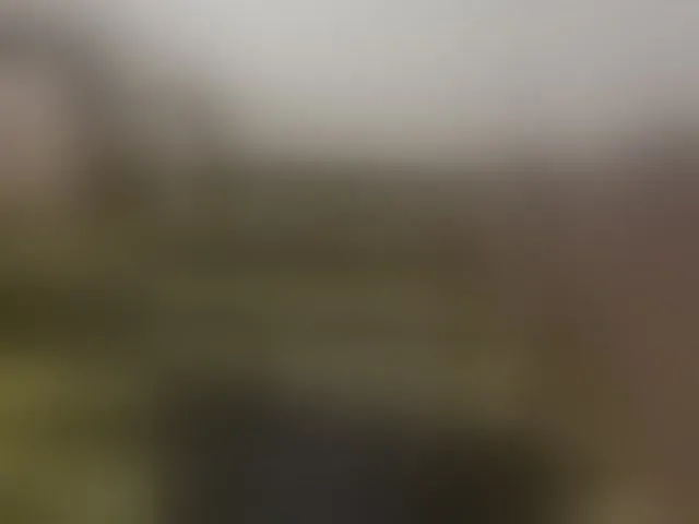 Live sex webcam photo for Plohishi2 #293839776