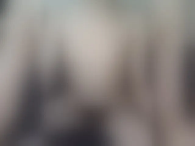 Live sex webcam photo for Plohishi2 #294048096
