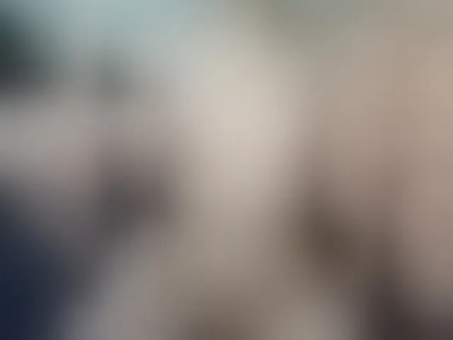 Live sex webcam photo for Plohishi2 #294078165