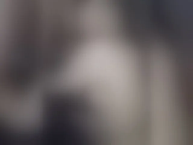 Live sex webcam photo for Plohishi2 #294222390