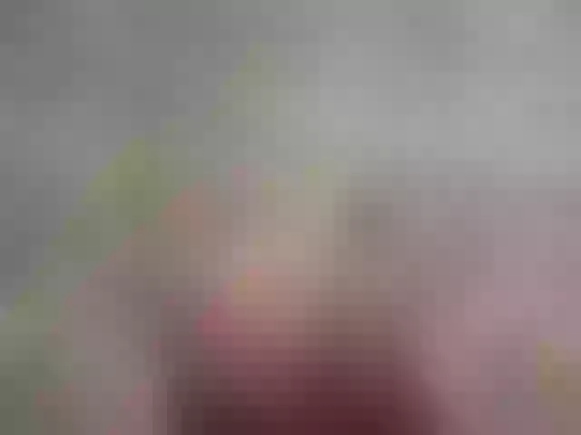 Live sex webcam photo for Polina197167 #291604724