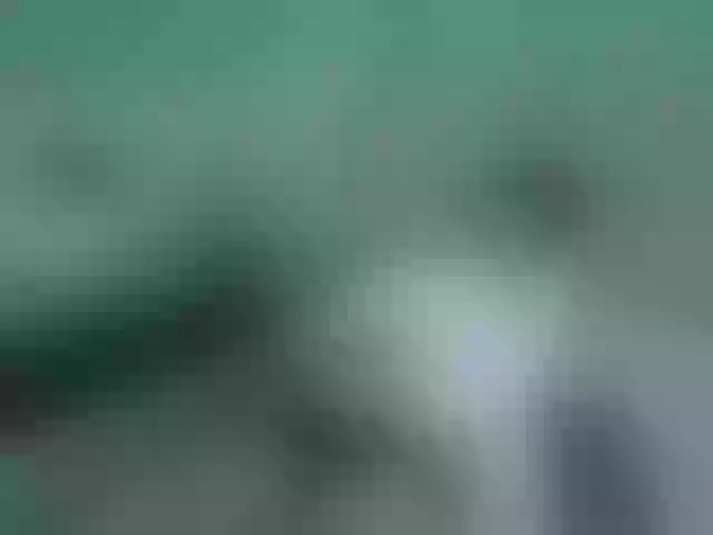 Live sex webcam photo for Pollito-Rosaa #277908120