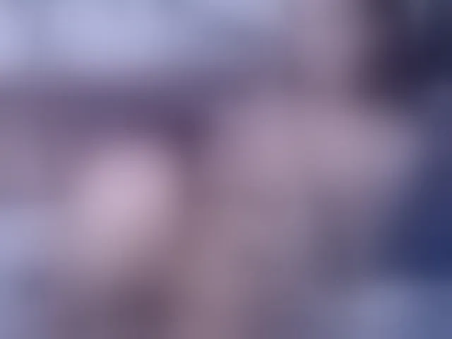 Live sex webcam photo for PornStarBelle #293160431