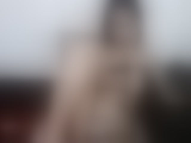 Live sex webcam photo for PornStarBelle #294339653