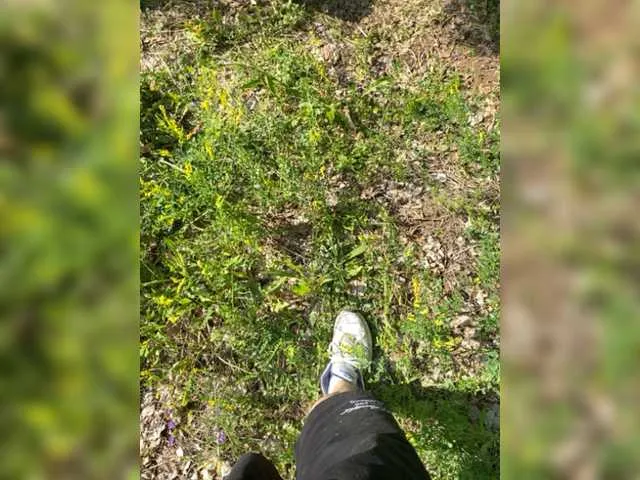 Live sex webcam photo for Possumiss #275598168