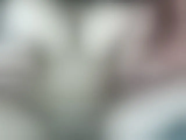 Live sex webcam photo for Poussie #292414526