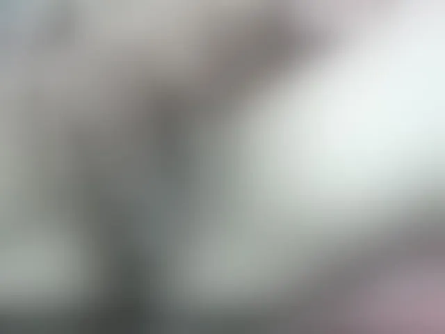 Live sex webcam photo for Poussie #292467501