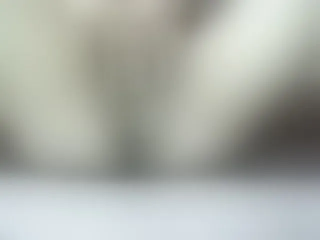 Live sex webcam photo for Poussie #292506614