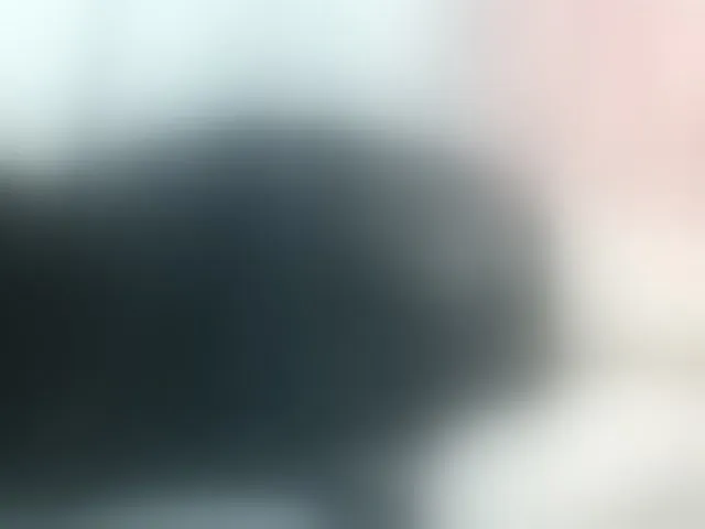 Live sex webcam photo for Poussie #293167828