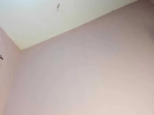 Live sex webcam photo for Pretty-mama #275668210
