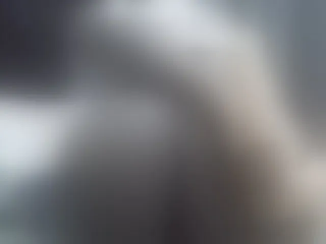 Live sex webcam photo for Pretty-amber72 #293559038