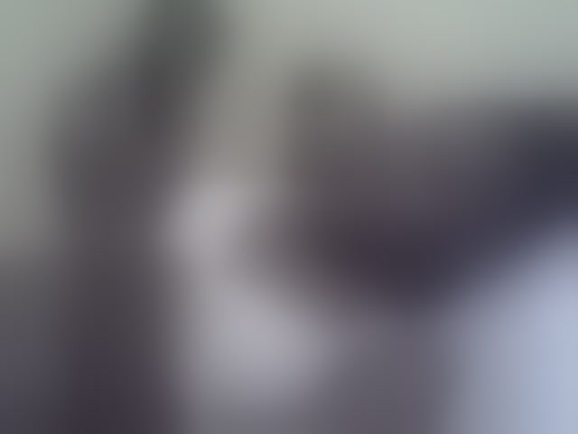 Live sex webcam photo for Pretty-doll #291851725