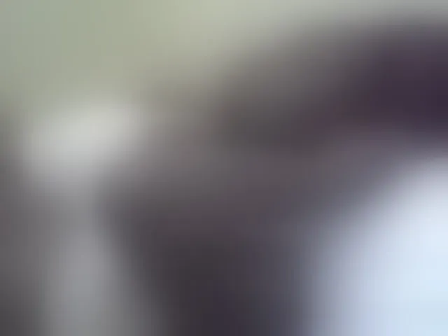 Live sex webcam photo for Pretty-doll #291857529