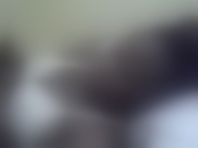 Live sex webcam photo for Pretty-doll #291880506