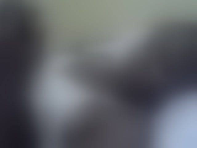 Live sex webcam photo for Pretty-doll #291885497