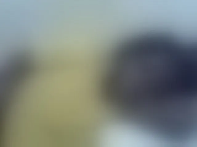 Live sex webcam photo for Pretty-doll #292296246