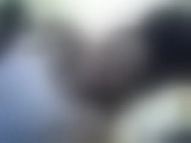 Live sex webcam photo for Pretty-doll #292644734