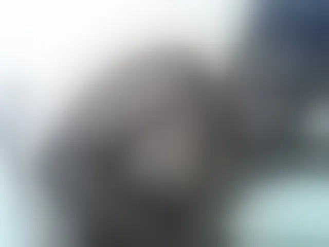 Live sex webcam photo for Pretty-doll #294020704