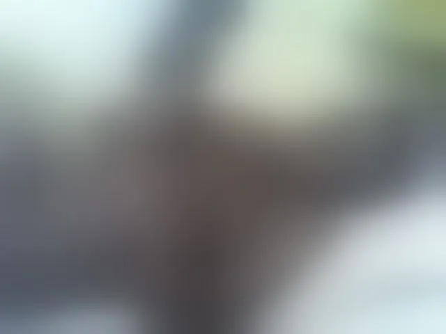 Live sex webcam photo for Pretty-doll #294039579