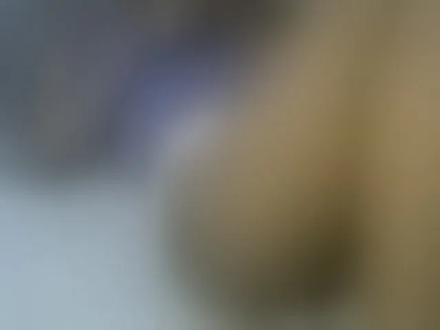 Live sex webcam photo for Pretty-princess #291693188