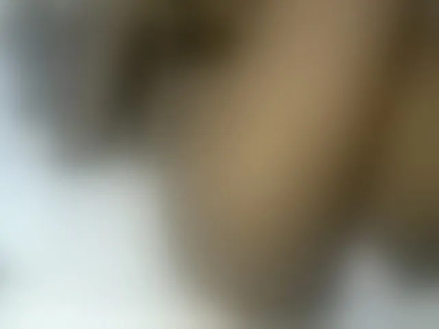Live sex webcam photo for Pretty-princess #291777135