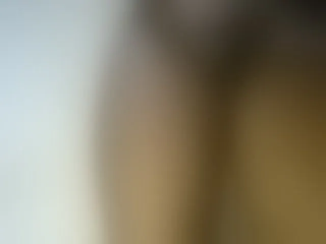 Live sex webcam photo for Pretty-princess #291819777