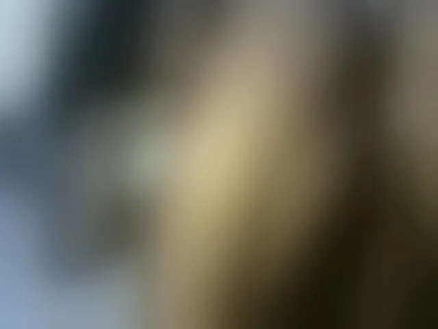 Live sex webcam photo for Pretty-princess #291876890