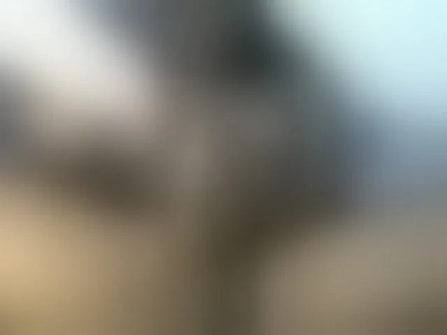 Live sex webcam photo for Pretty-princess #291897951