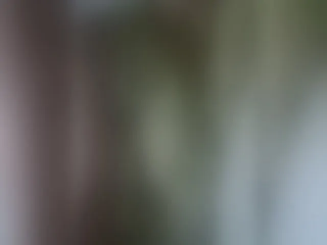 Live sex webcam photo for Pretty30 #293054817