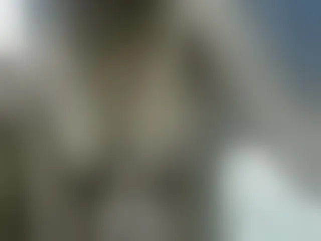Live sex webcam photo for PrettyAlianah #293773897