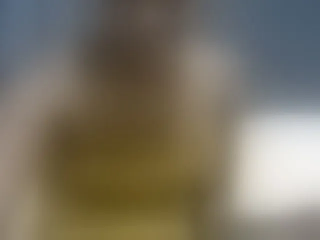Live sex webcam photo for PrettyAlianah #293831733