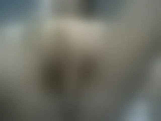 Live sex webcam photo for PrettyAlianah #293836712